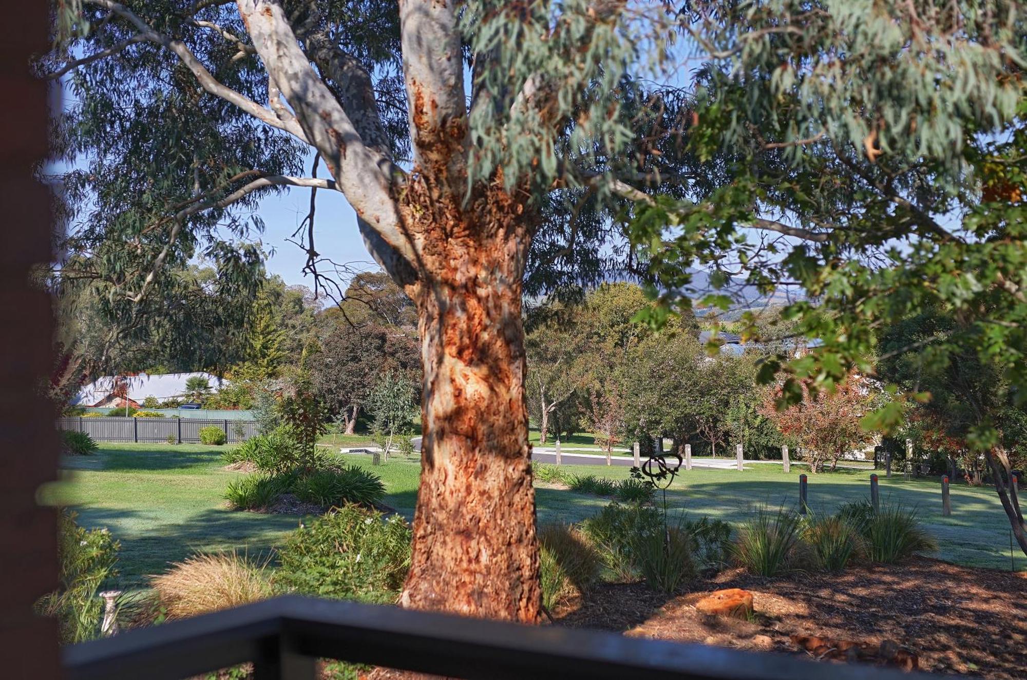 Yarra Gables Motel Healesville Luaran gambar